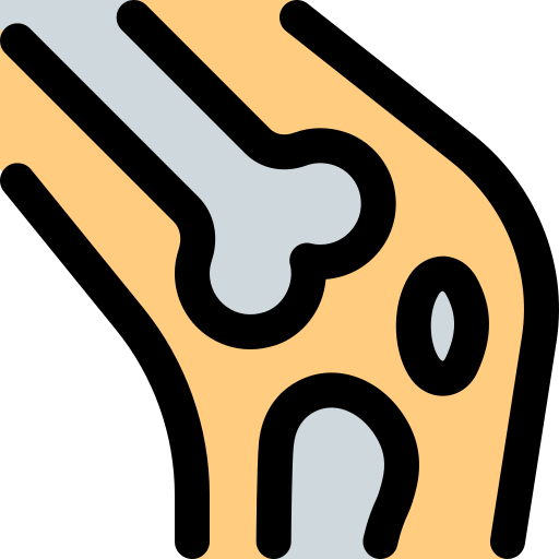bone_16652024