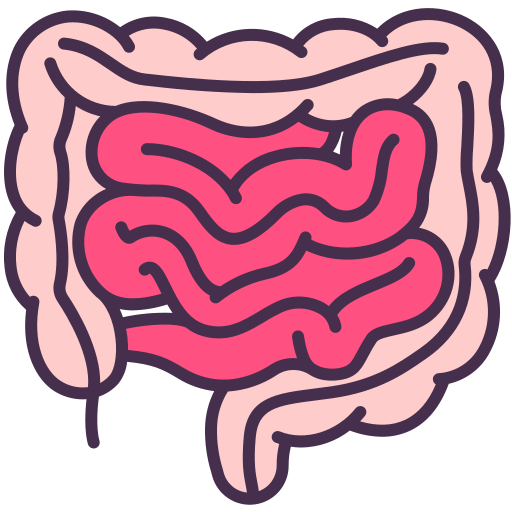 intestine_3904561