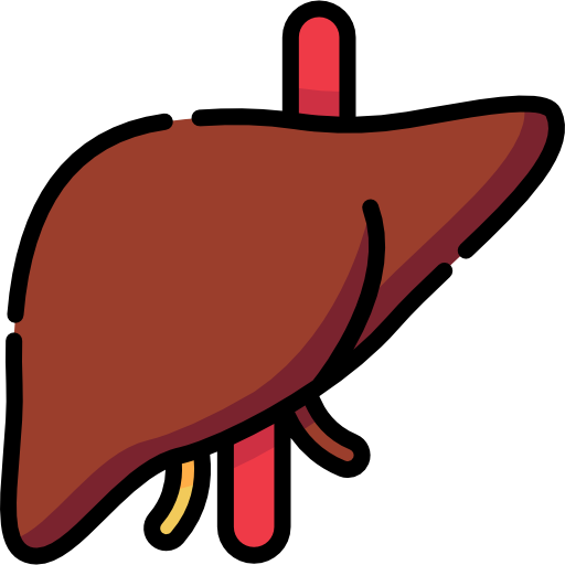 liver_508747