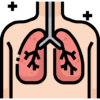 Lungs