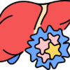 Liver